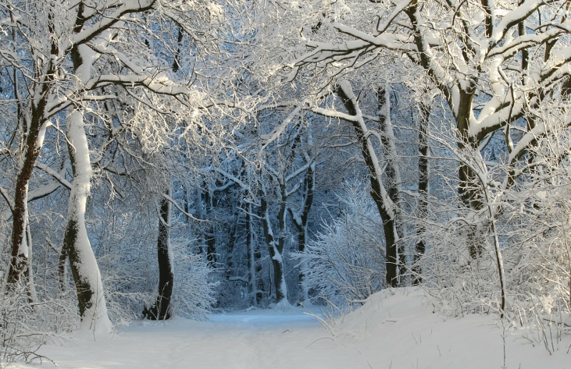 The Big Wood – Good Heavens, it is Cold!