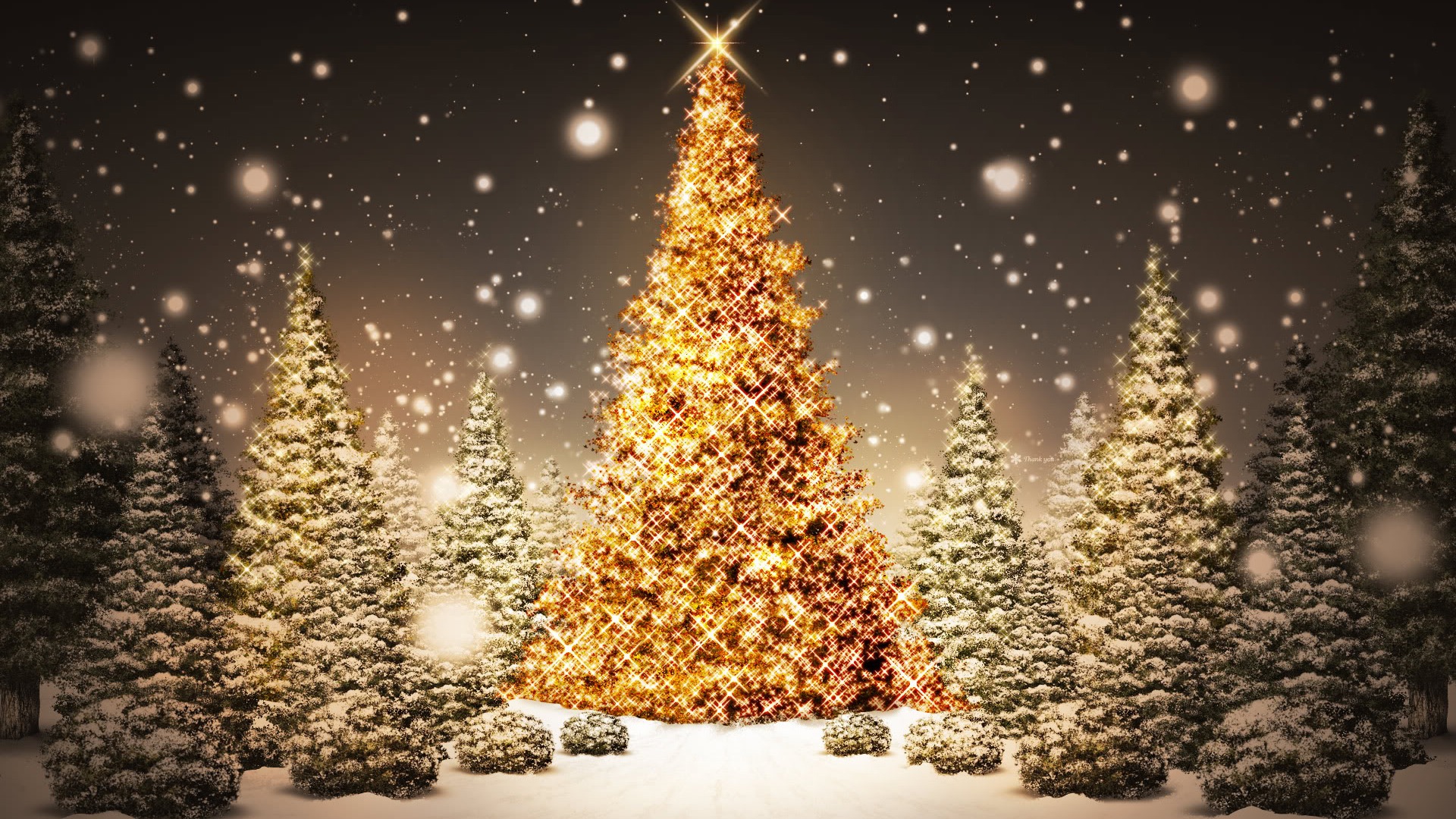Happy Holidays