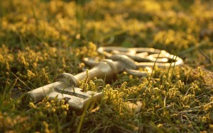 key on grass