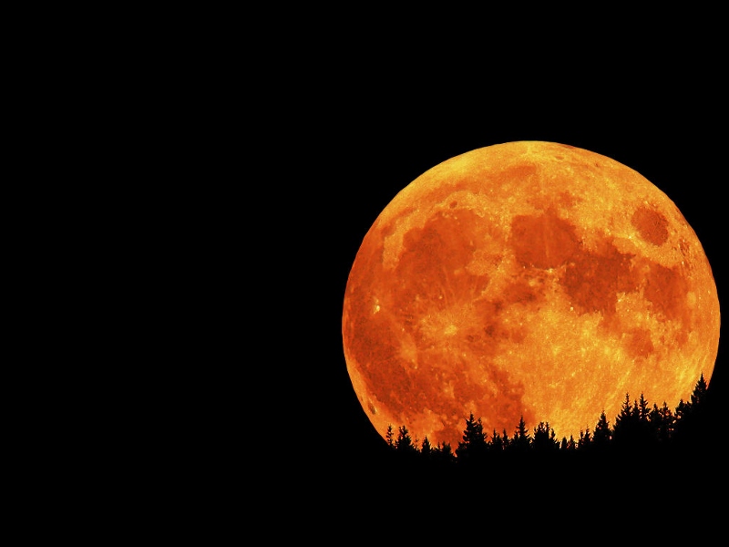 Total Eclipse of the Heart Red Moon