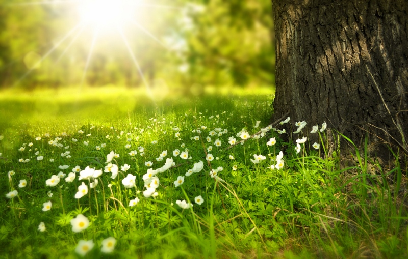 The Big Wood – The Treasure to the Key