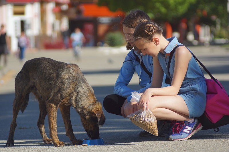 Random Acts of Kindness Day