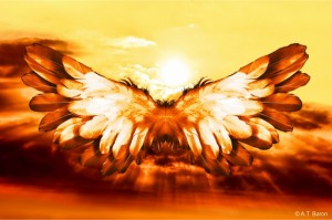 Icarus (800x530)