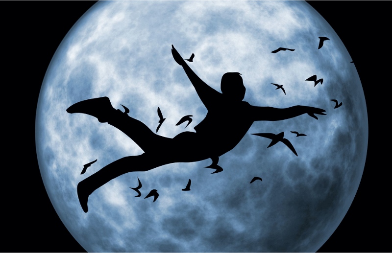 Fortune Cookie Friday: Successful Flights
