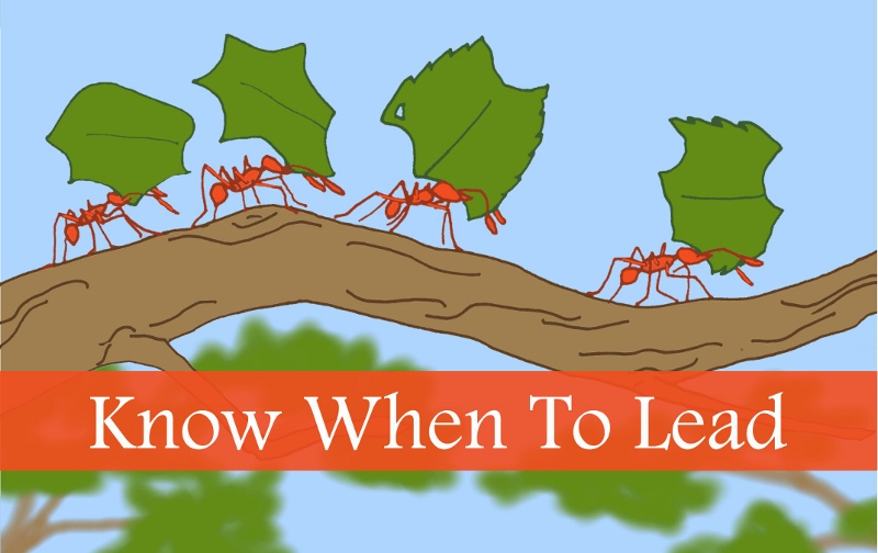Fortune Cookie Friday: Know When to Lead
