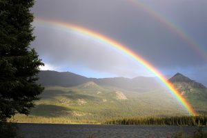 rainbow-436171_1920 (800x533)
