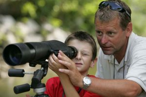 look-387482_1920-800x533