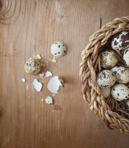 egg-1235576_1280-700x800