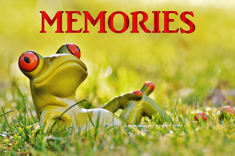 Fortune Cookie Friday: Make Good Memories