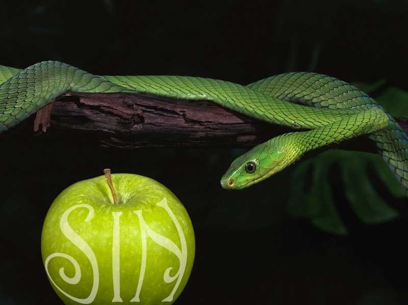 Fortune Cookie Friday: How to Can Sin