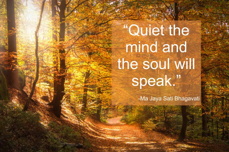 Fortune Cookie Friday: Refreshingly Quiet