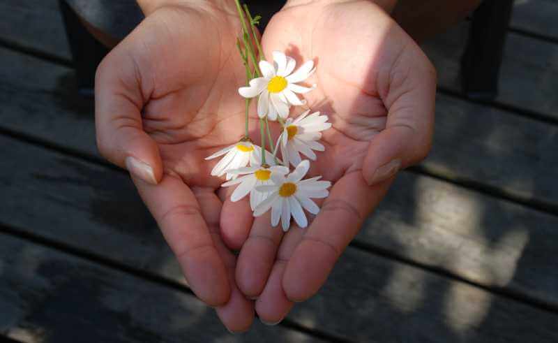 Fortune Cookie Friday: Give a Little Bit