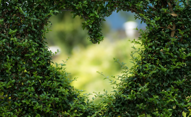 Fortune Cookie Friday: Love