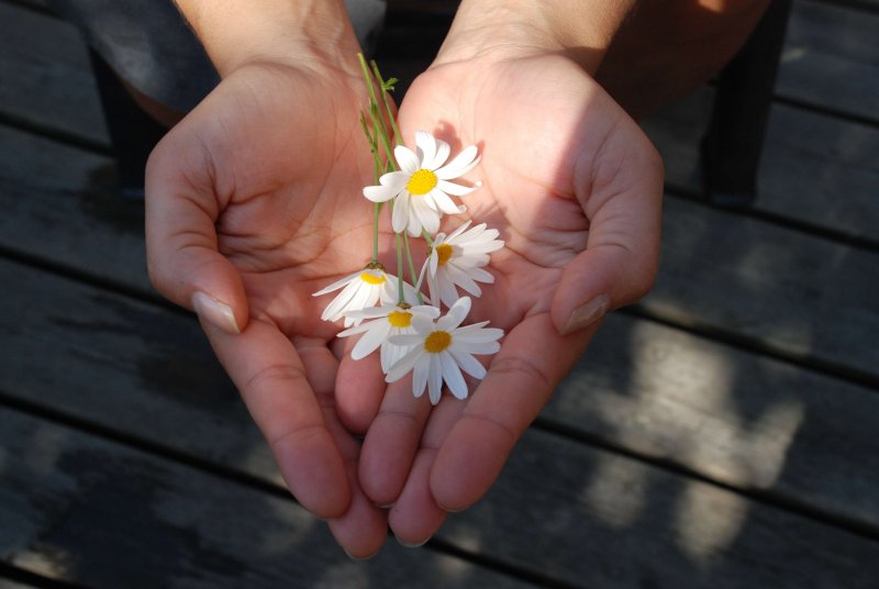 Fortune Cookie Friday: Forgive and Forge Forward
