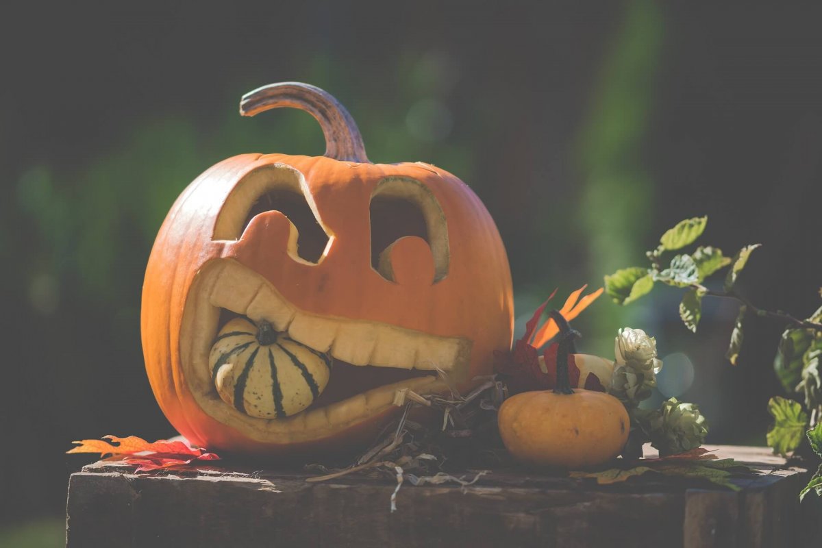 Fortune Cookie Friday: Very Merry or Very Scary?