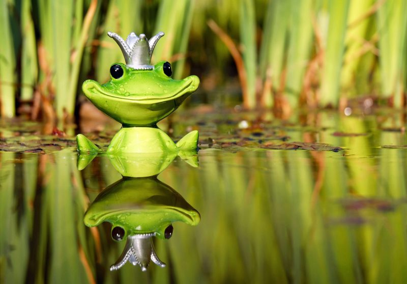 Fortune Cookie Friday: Reflect Happiness