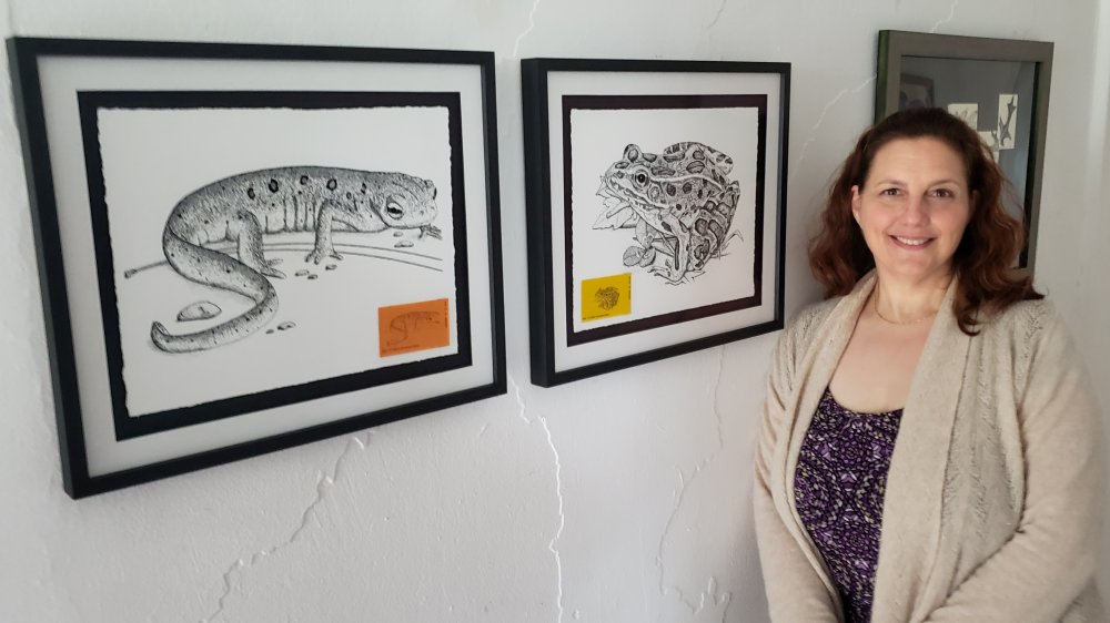 a-t-baron-author-illustrator-wildlife-art.jpg A woman stands smiling by two framed black-and-white animal drawings, one of a salamander and one of a frog, displayed on a white wall.